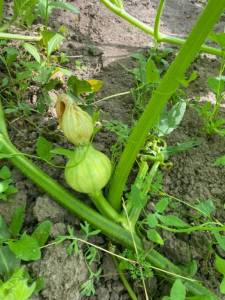 IMG_3840.thumb.jpeg.7a6ffa8f8f9b382ea35dc1f198ac296f.jpeg