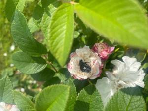 IMG_4124.jpeg