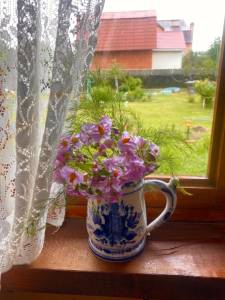 IMG_4141.jpeg