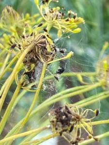 IMG_4223.jpeg