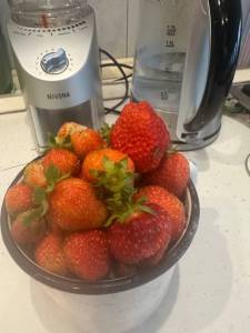 IMG_4569.jpeg