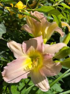 IMG_6634.jpeg
