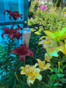 IMG_6640.jpeg