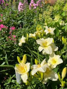 IMG_6641.jpeg