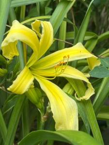 IMG_7303.jpeg