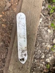 IMG_7340.jpeg