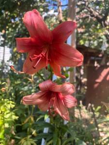 IMG_7479.jpeg