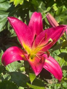 IMG_7486.jpeg