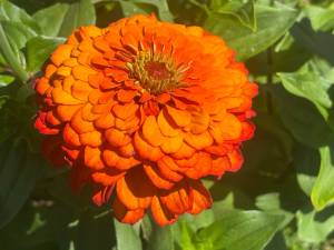 IMG_7489.jpeg