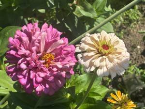 IMG_7490.jpeg