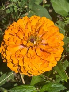 IMG_7492.jpeg