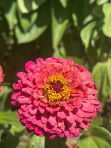 IMG_7494.jpeg
