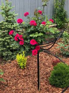 IMG_7824.jpeg