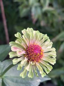 IMG_7995.jpeg