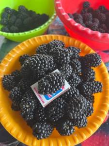 IMG_9182.jpeg