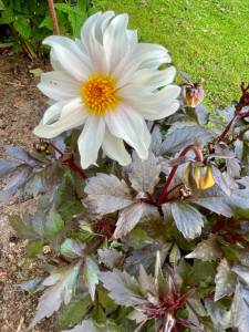 IMG_9438.jpeg