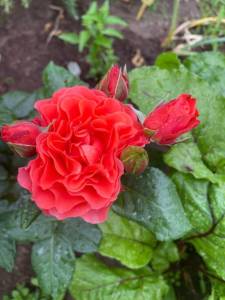 IMG_9878.thumb.jpeg.104c6449c2fdd74bf338b8f593d820e3.jpeg