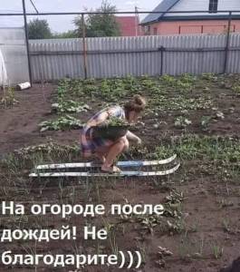 a7c3d00090fe7dc6a0d46396e6462317.thumb.jpg.a8b30e2af4a88d62784093937447c1e4.jpg
