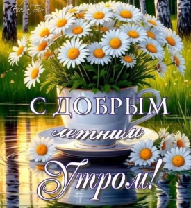 cc96d249-0ddd-402b-ab7b-fb5a7b73158f.png