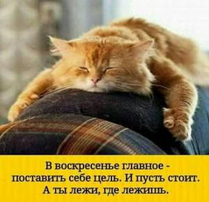 de822940a717199356c22d81f3f35681.thumb.jpg.9df3b2f8d79853b32b95015791ce7101.jpg