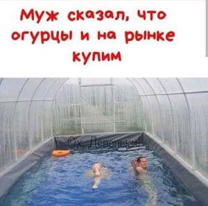 dfc0ab8b1517d49144c23ffc1e408d6b.jpg