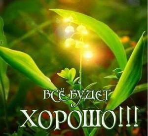 e1b64926dd388ed75f3a99830484041a.jpg