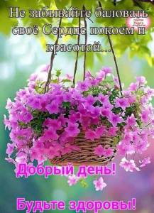 fa82a74316772b0fd3baa1b8976c742c.jpg