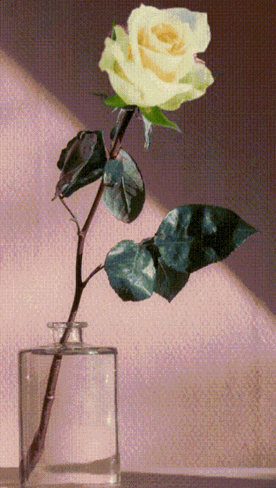 gif-woman-12.gif