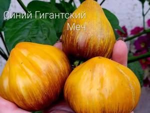i.thumb.jpg.c03310e69bfdd85c004953c76f10d6b0.jpg