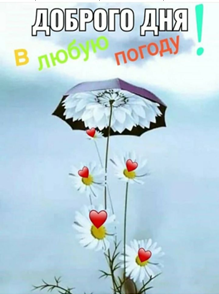 image.png.87da961cca92064187154de5c033f90f.png