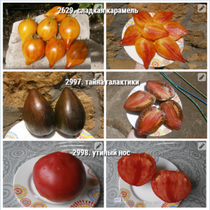 image.thumb.png.074e295302b1d2b17c918566dde27b86.png