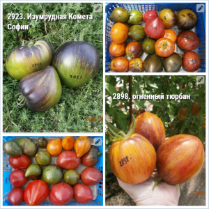 image.thumb.png.095be1c9e0154109948d56d607fe2621.png