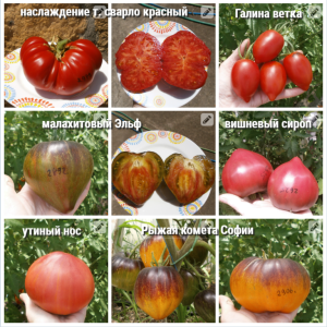 image.thumb.png.44b085b9d44a1d009e206f64cc0f7121.png