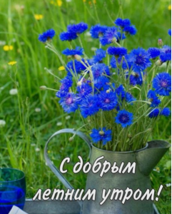 image.thumb.png.d50149d477e064ebacea4314939bf659.png