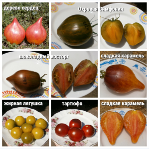 image.thumb.png.d7e9a66466c333205455e5b74da316e2.png