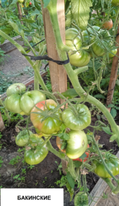 image.thumb.png.dc179d05a4b1ebb803d4d7039146df8f.png