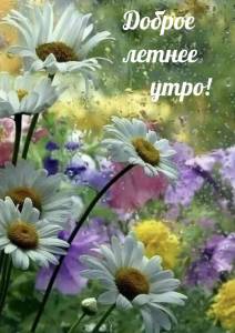 imagetext_ru_26547.jpg