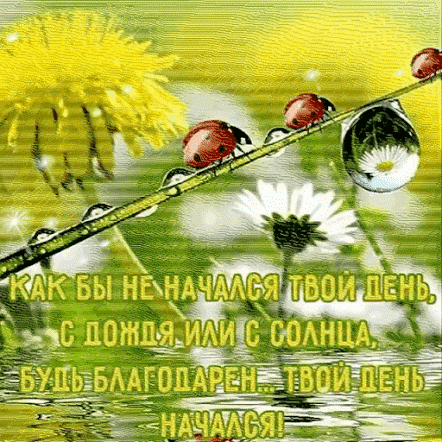 kak-by-ne-nachalsya-tvoj-den-s-dozhdya-ili-solnca-bud-blagodaren.gif