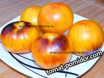 large.1028238587_1.png.3b3741853f050a9f91866d8a632f51c8.png