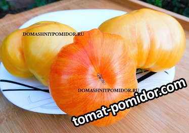 large.978120283_1.png.dcd8ee947bd1a2e9c89c0d9a60798541.png