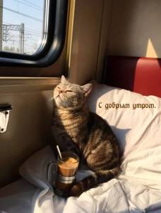 photowords_ru_8760.thumb.jpg.565c98e19108a8bf57af6aaa11e7982f.jpg