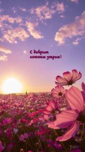 rupix_ru_6106.jpeg