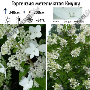 sjcyej2zjpmyj3pvo53w6j1lef5lmgj3.thumb.png.e7506686d1513d9f5895b192a1180f77.png