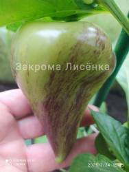 C_C_IMG_20250724_182227.jpg