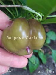 C_C_IMG_20250724_182348.jpg