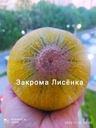 C_IMG_20250726_211653.jpg