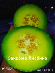 C_IMG_20250726_213005.jpg