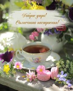utradobrogo_ru_1535.thumb.jpg.610a435ba960328de59b6792efc74a9e.jpg