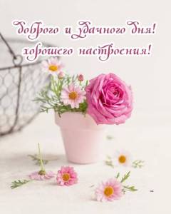utradobrogo_ru_9512.thumb.jpg.df8b2e3f7f8cc104808945acc4b9f5b7.jpg