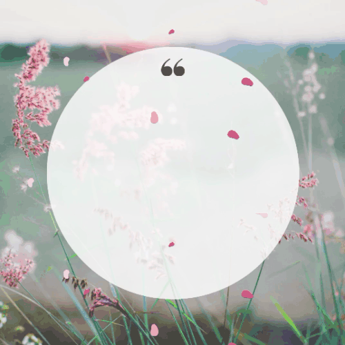 utro-gif-14.gif